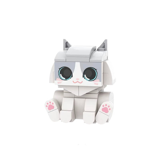Ragdoll Cat